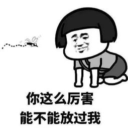 蚊子出没预报来了厦门开启驱蚊大战...