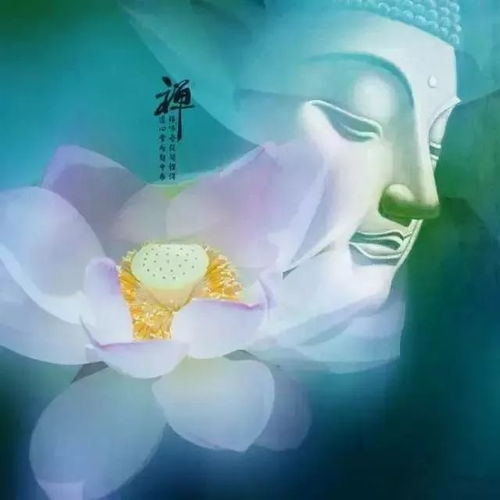 最经典的18句禅心小句子,简短却寓意深刻