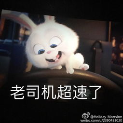 爱宠大机密这只小兔子真可爱,虽然是反派堆糖,美好生活研究所