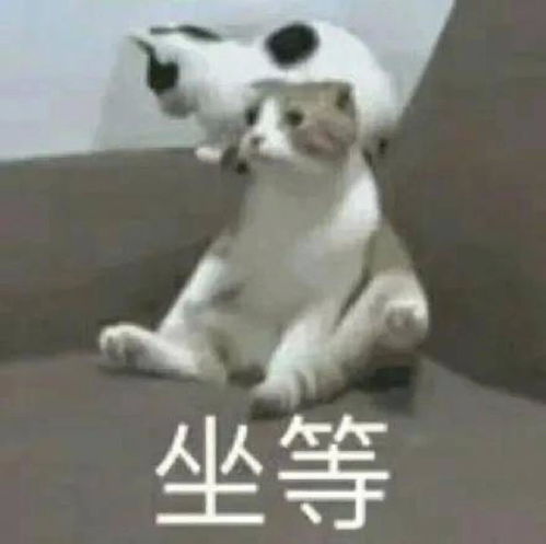 开开心心日常聊天必备表情包