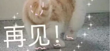 的表情包生成器沙雕