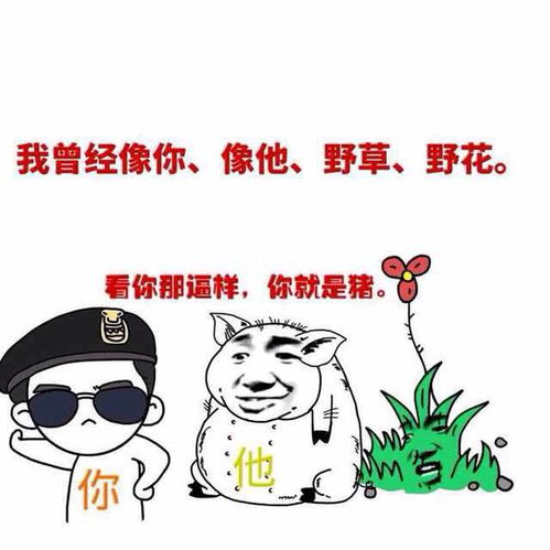 抖音我曾经跨过山和大海qq微信表情包无水印版高清完整版