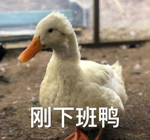 风里雨里,我在等你