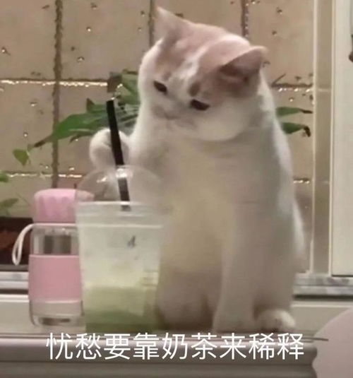 星巴克茶云回归宋朝人早你一千年