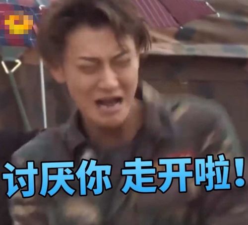 尴尬明星表情包合集,黄子韬表情堪称一绝,岳云鹏我排第几
