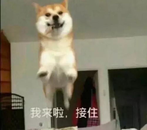 内江人要疯了,暖暖的秋天才刚回来,就又要降温了
