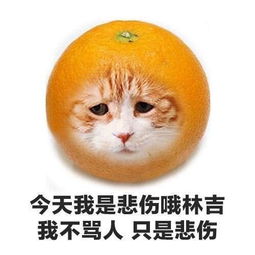 十条笑话漂亮阿姨,我理发要钱吗
