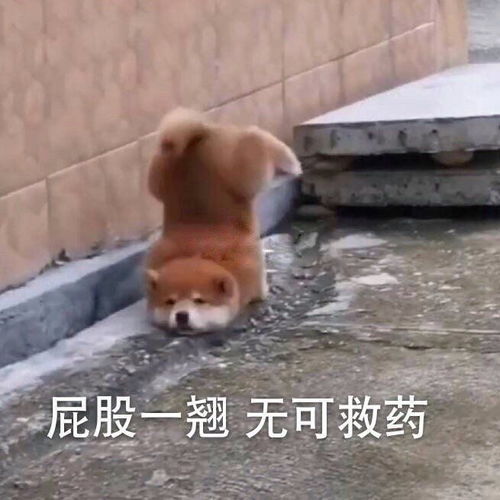 收藏夹