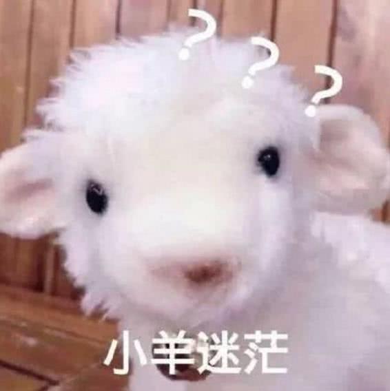 林俊杰嘴里长了70颗溃疡真受不了娱乐圈这些智障了