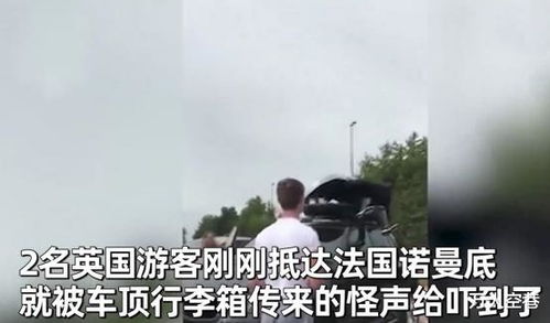 两非洲小伙为偷渡到英国,偷藏在游客行李箱里,被发现时表情亮了