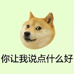 搜狐公众平台哭笑不得晋江男子竟然偷换一条街摊位二维码,接70多笔收款被拘