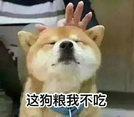 这还是你想象中的大学生活吗