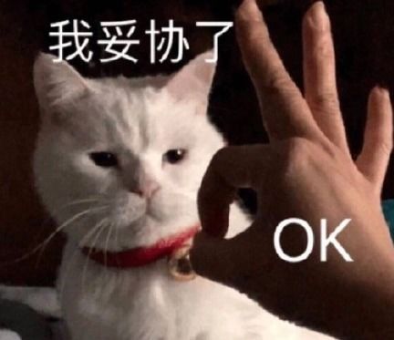 坑爹图片表情包看着我