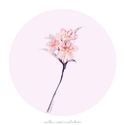 花草水墨封面淡雅唯美插画古风