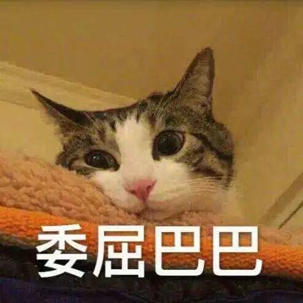 当我跑步的时候,我在想些什么