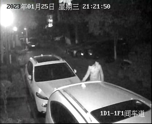 40岁男子与10岁小孩斗气,近一年后报复划伤男孩家楼下7辆车