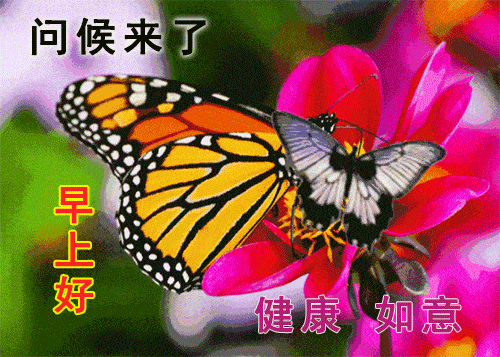 1月23日早上好动态表情图片大全,早晨好问候美图大全