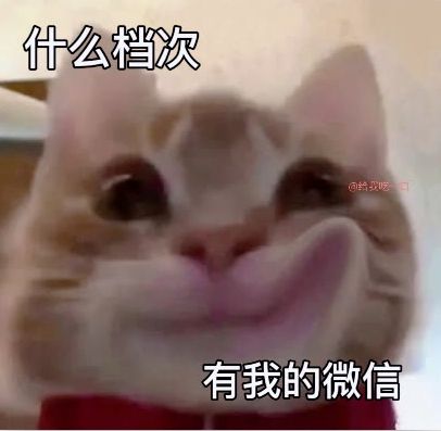 新的歪嘴小猫表情包又来了,这次的更可爱