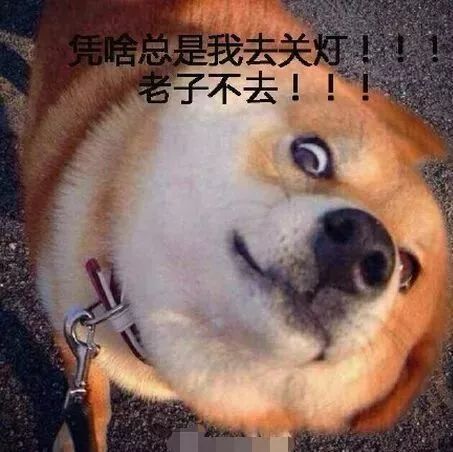 狗头护体表情包杠精