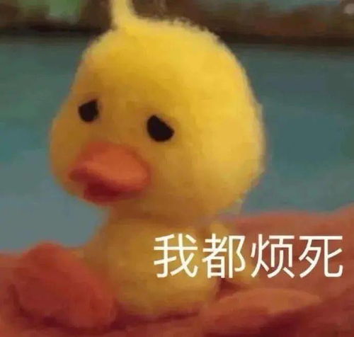 chisoc帮转英国大学最不想看到的报告,出炉了