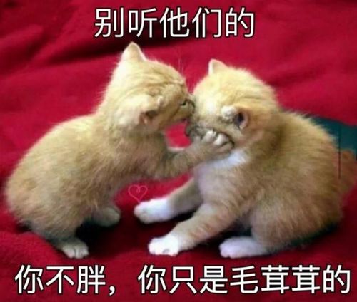 加油2021年的考研人打工人