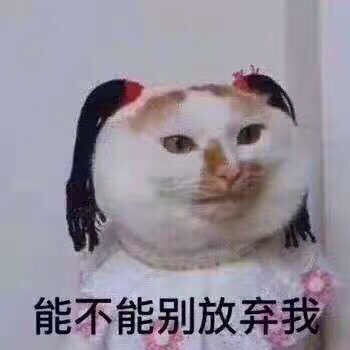 组员们每次纠结喝不喝奶茶的时候最终选择了什么