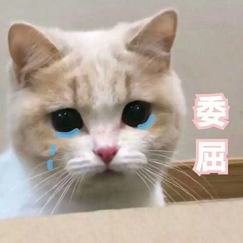 我的收藏