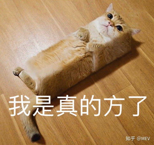 花呗欠了一千多块钱,疫情期间不开学没钱还,不好意思问爸妈要,即使要了也没有正当理由,我现在好苦恼