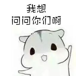 这样的男朋友请给我来一打