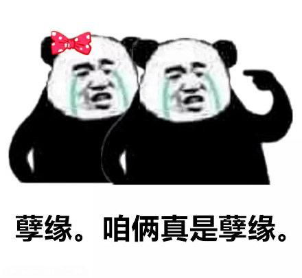 宝我今天土味情话