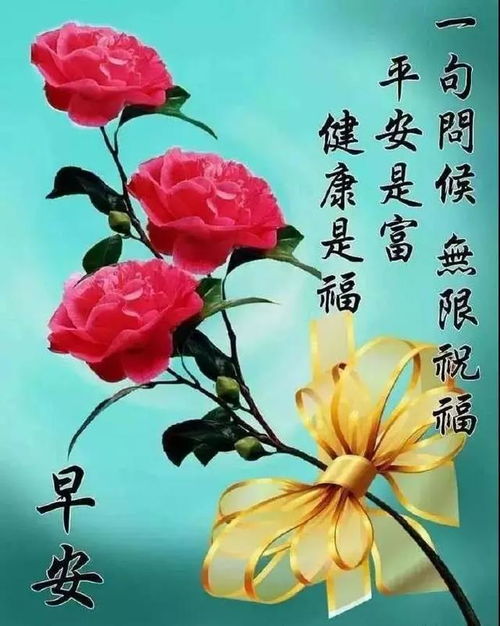 这个世界是现实的,只有你用努力和自我,令它柔软,早安