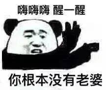 熊猫头表情包i醒醒你根本没有老婆