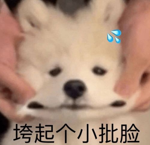 出轨夫妻不离婚的大瓜