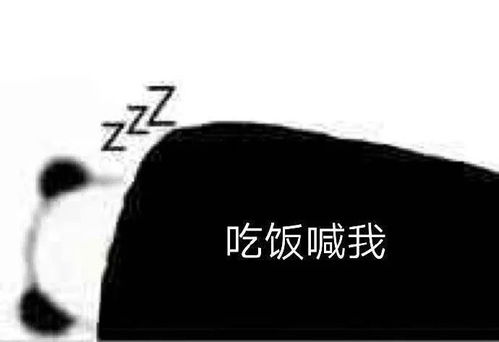 表情包搞怪表情包你也太可爱了给爷抱抱