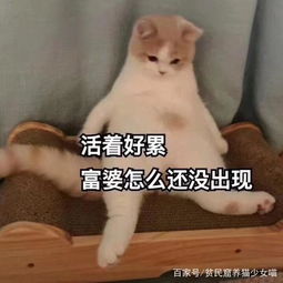 再睡5分钟不存在的喵星人有一套特殊的叫起床方法