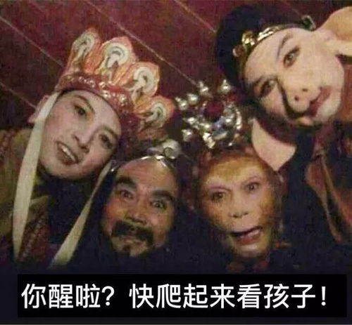 烧火的表情包老母