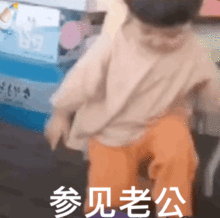 罗熙参见老婆大人表情包大全