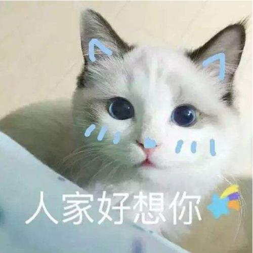 幽默笑话,靓仔,这么早你就来买菜了,你媳妇真幸福呀车去