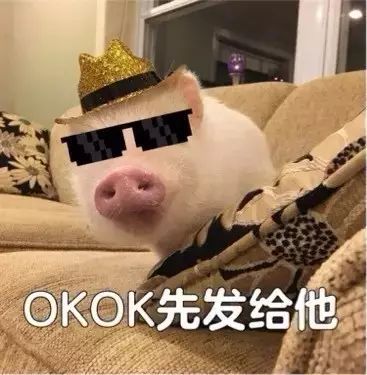 ok我闭嘴表情包我是