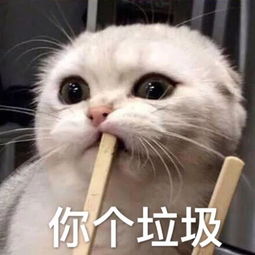 壁纸头像超可爱搞笑猫咪表情包