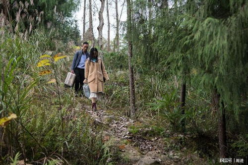 当年18岁姑娘被40岁男人接走,跪在地上干了30年家务和农活