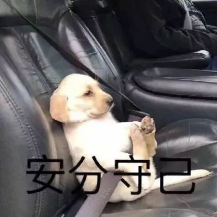 表情包麻了,彻底麻了