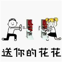 男生向女生表白的表情包我有钱,做我女朋友