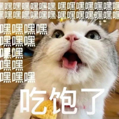 很火的经典微信表情包大全