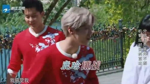 鹿晗耿直担心背不动美女,小姐姐霸气要不我背你吧小鹿鹿的表情