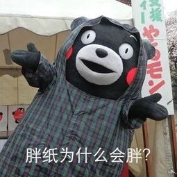 胖子为什么会胖原来是这个原因