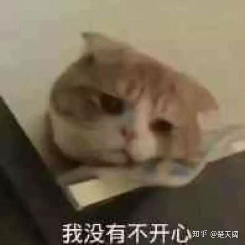 对紫外线过敏是一种怎样的体验
