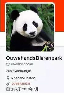 为了迎接俩熊猫,荷兰人的这些行为让人感动