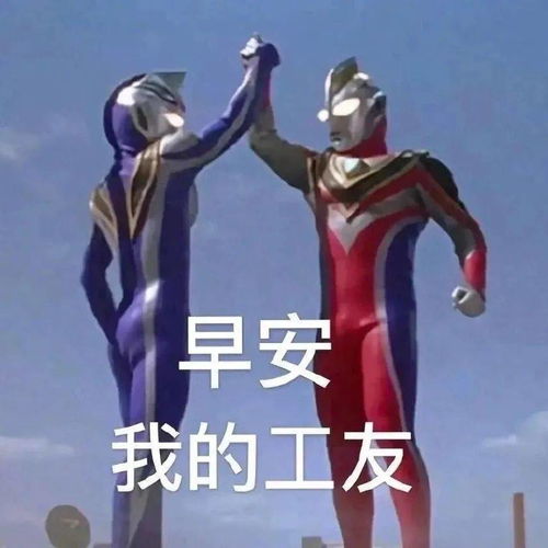 前方高能一大波沙雕表情包来袭