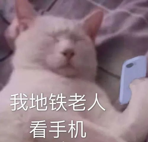 最近超火的看手机表情包